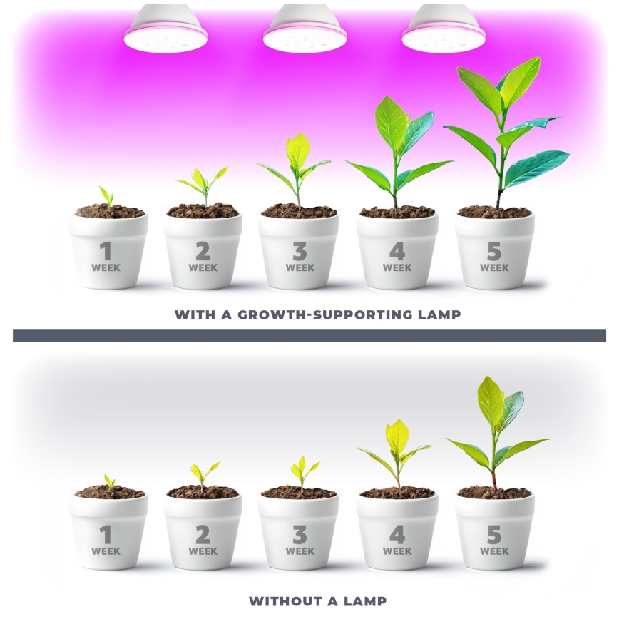 Lâmpada LED para crescimento de plantas VITABLOOM E27/9W/230V 1200K branco - Brilagi