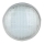Lâmpada LED para Piscina LED/35W/12V IP68 6500K