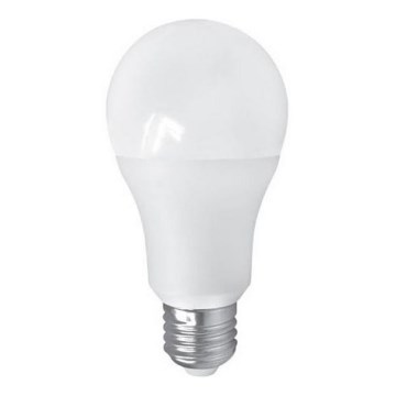 Lâmpada LED PITT A60 AC/DC E27/12W/24V 4000K