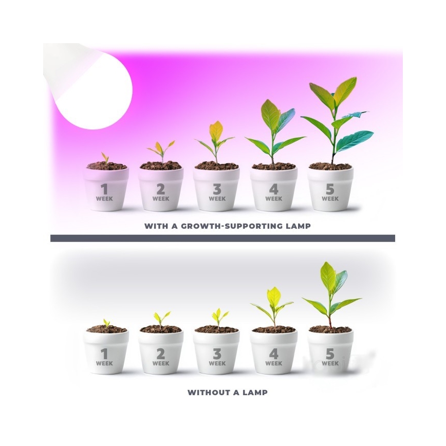 Lâmpada LED para crescimento de plantas PLANTY E27/11W/230V 1200K branca