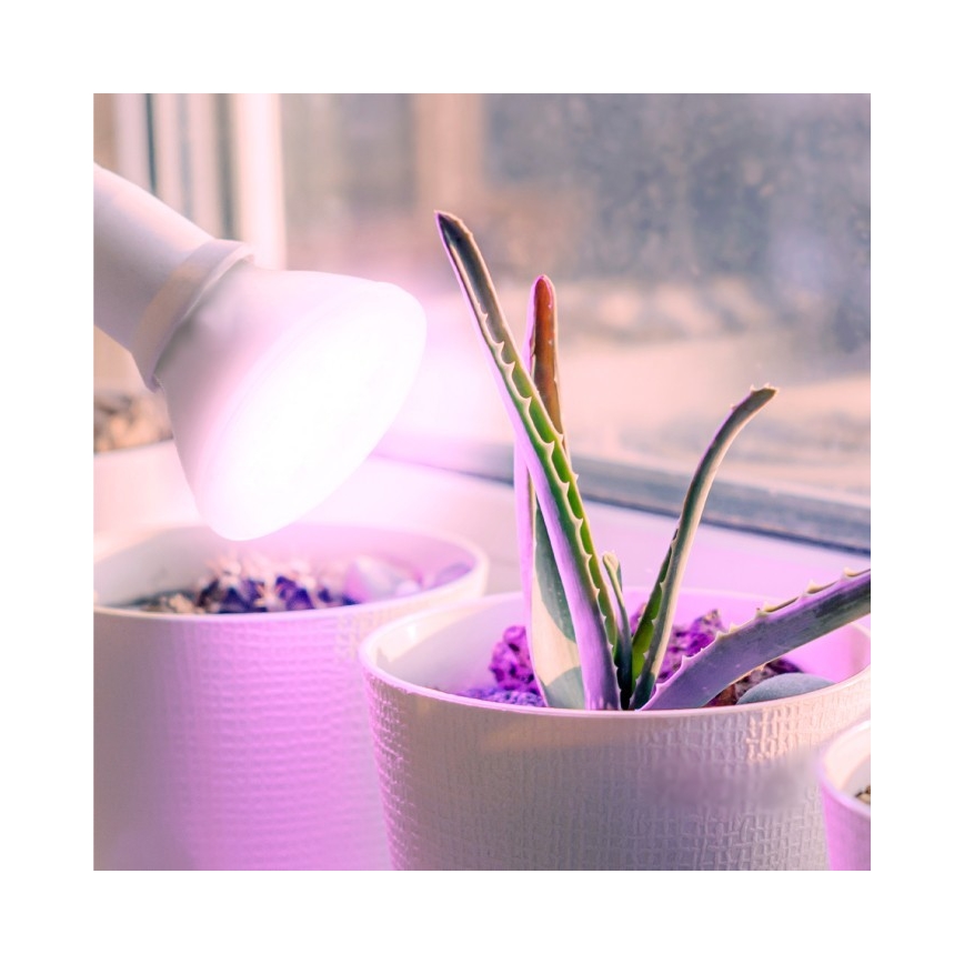 Lâmpada LED para crescimento de plantas PLANTY E27/7W/230V 1200K branca