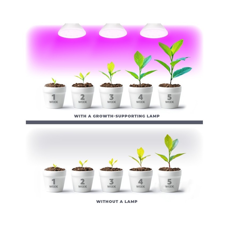 Lâmpada LED para crescimento de plantas PLANTY E27/7W/230V 1200K branca