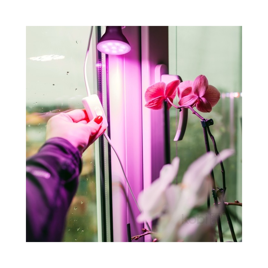 Lâmpada LED para crescimento de plantas PLANTY E27/7W/230V 1200K preta