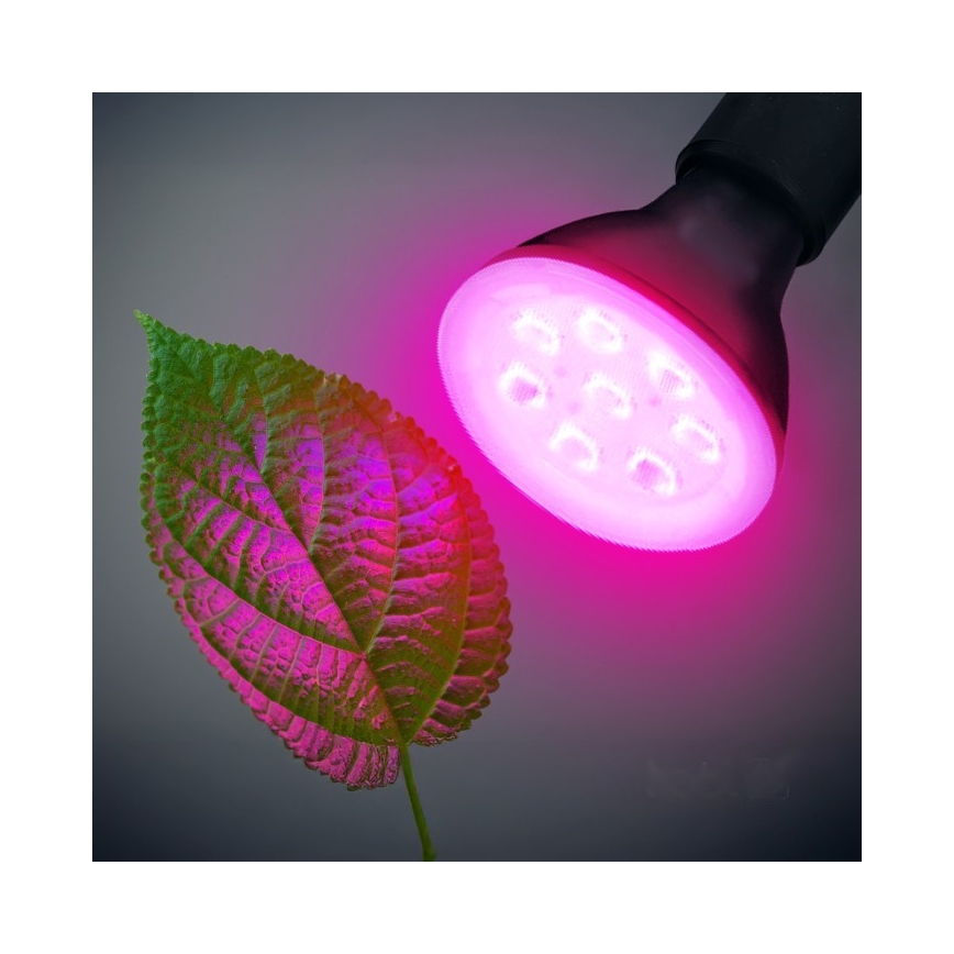 Lâmpada LED para crescimento de plantas PLANTY E27/7W/230V 1200K preta
