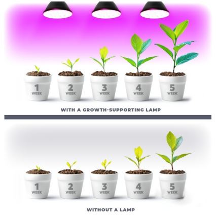 Lâmpada LED para crescimento de plantas PLANTY E27/7W/230V 1200K preta