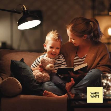 Lâmpada LED regulável A60 E27/10,5W/230V 2700K