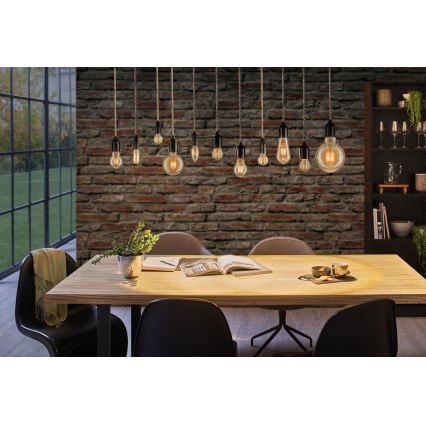 Lâmpada LED regulável FILAMENT E27/6W/230V 1700K - Paulmann 28522