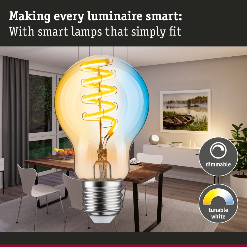 Lâmpada LED regulável FILAMENT E27/7,5W/230V 2200-5500K - Paulmann 29155