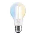 Lâmpada LED Regulável FILAMENTO A60 E27/7W/230V 2700-6500K Wi-Fi Tuya