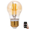 Lâmpada LED Regulável FILAMENTO MESH Smart G45 E27/4,5W/230V 2700-6500K - Aigostar