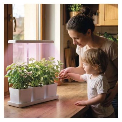 Lâmpada LED regulável para cultivo de plantas de interior GROW LED/7W/5V