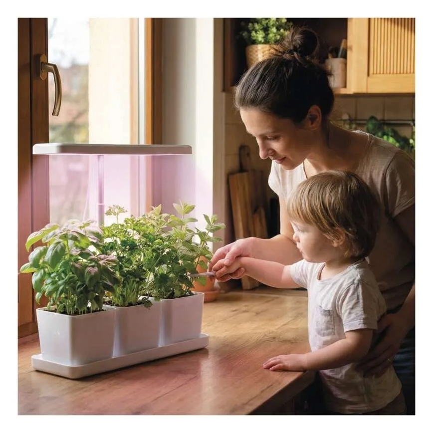 Lâmpada LED regulável para cultivo de plantas de interior GROW LED/7W/5V