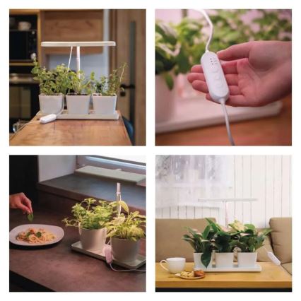 Lâmpada LED regulável para cultivo de plantas de interior GROW LED/7W/5V