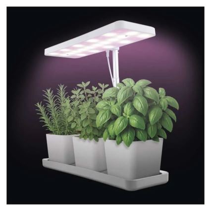 Lâmpada LED regulável para cultivo de plantas de interior GROW LED/7W/5V