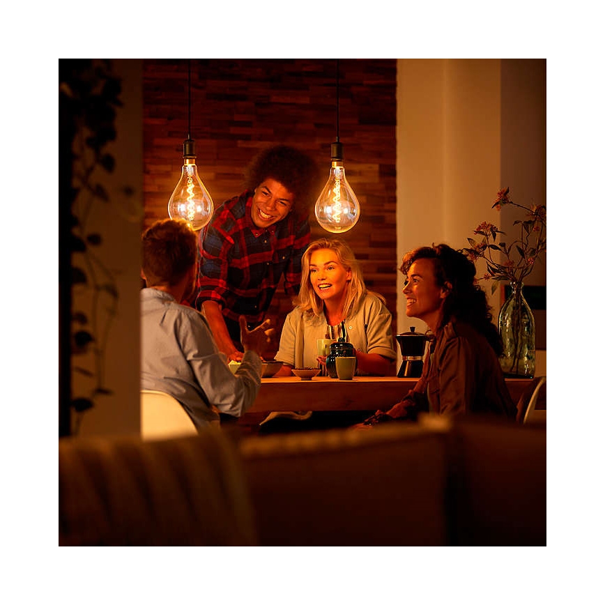 Lâmpada LED regulável VINTAGE DYI E27/4W/230V 2700K - Leuchten Direkt 0846