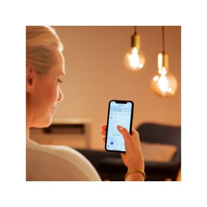 Lâmpada LED regulável VINTAGE FILAMENT G95 E27/6,7W/230V 2000-5000K CRI 90 Wi-Fi - WiZ