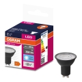 Lâmpada LED VALUE PAR16 GU10/4,5W/230V 6500K 36° preto - Osram