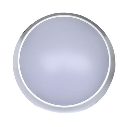 LED Luminária de Parede Externa LED/15W/230V 4000K IP65