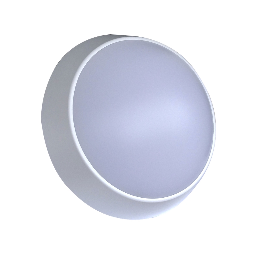 LED Luminária de Parede Externa LED/15W/230V 4000K IP65