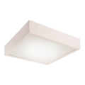 LED Candeeiro de teto LED/24W/230V