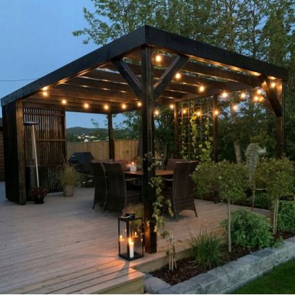 LED Cordão de luzes decorativas para exterior 20xE27/1W/230V 11,44 m IP44 preto