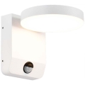 LED Exterior wall flexible iluminação com sensor LED/17W/230V IP65 4000K branco