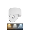 LED Flexível foco LED/20W/230V 3000/4000/6400K CRI 90 branco