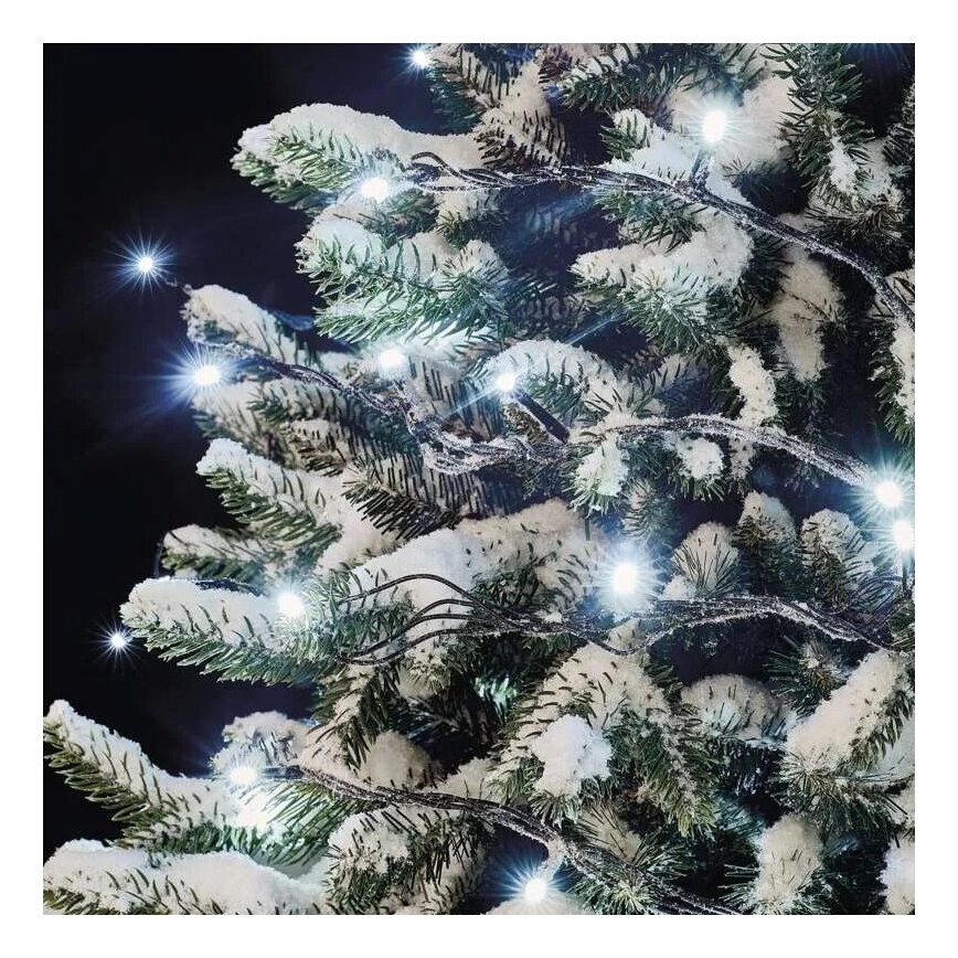 LED Guirlanda de Natal para exterior 100xLED/10m IP44 branco frio