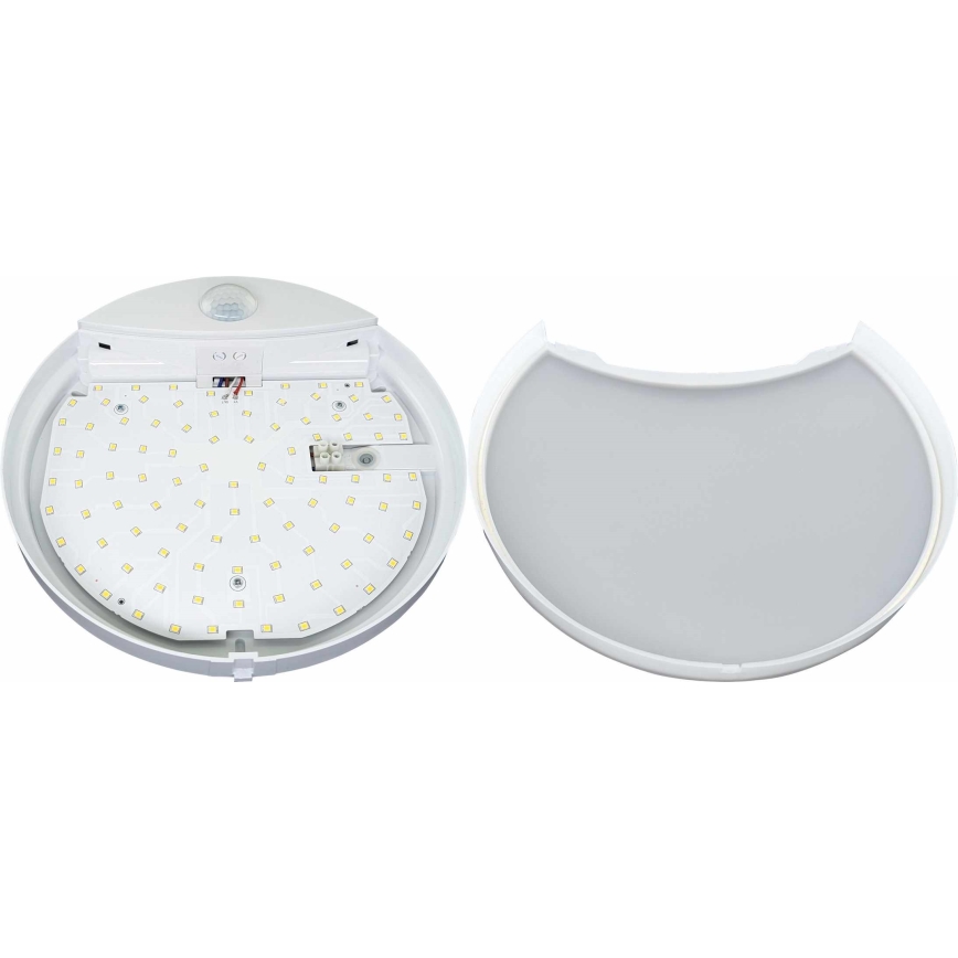 LED Iluminação de parede exterior com sensor HIBIS LED/15W/230V IP44