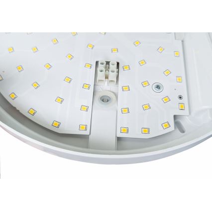 LED Iluminação de parede exterior com sensor HIBIS LED/15W/230V IP44