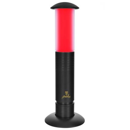 LED Lâmpada portátil 2xLED/1xD IPX4