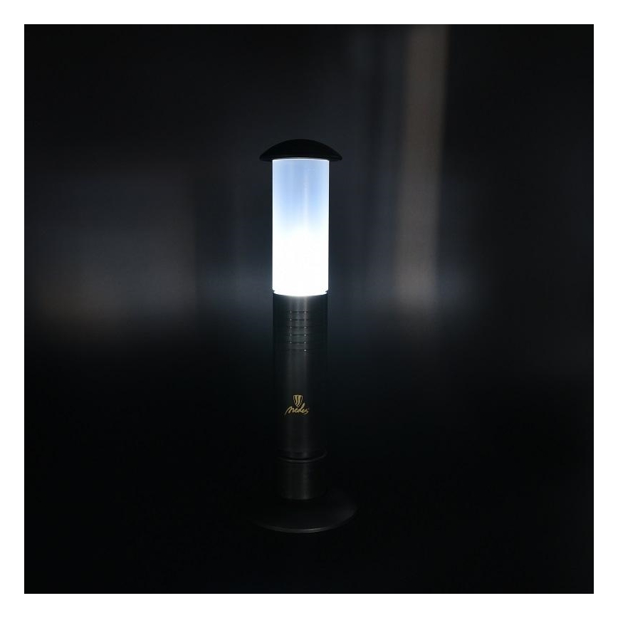 LED Lâmpada portátil 2xLED/1xD IPX4