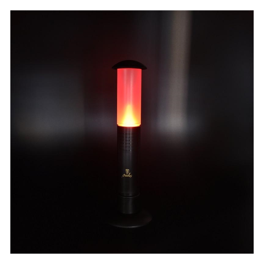 LED Lâmpada portátil 2xLED/1xD IPX4