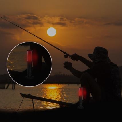 LED Lâmpada portátil 2xLED/1xD IPX4