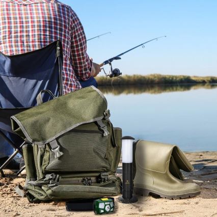 LED Lâmpada portátil 2xLED/1xD IPX4