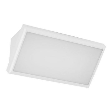 LED Luminária de Parede Exterior LED/12W/230V 6400K IP65 branco