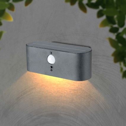 Luminária de parede solar LED para exterior com sensor LED/2,5W/3,7V 3000K IP54 2000 mAh