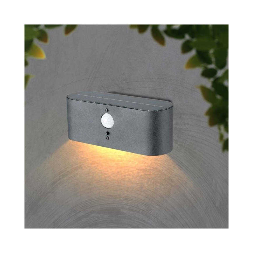 Luminária de parede solar LED para exterior com sensor LED/2,5W/3,7V 3000K IP54 2000 mAh