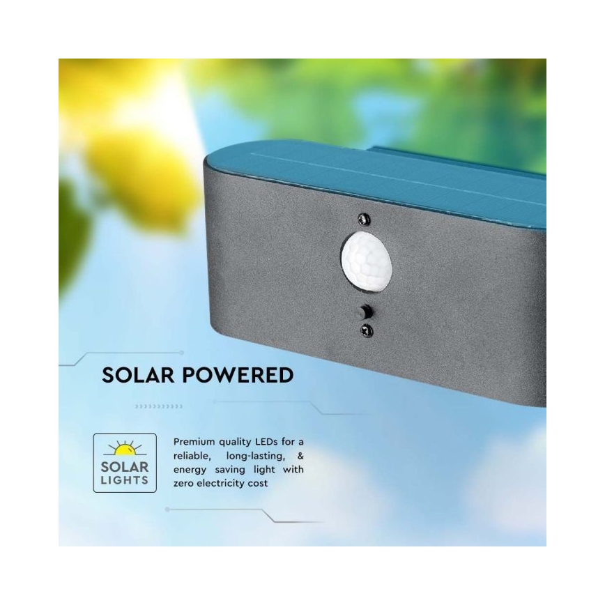Luminária de parede solar LED para exterior com sensor LED/2,5W/3,7V 3000K IP54 2000 mAh