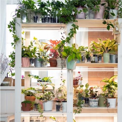 Luminária LED para cultivo de plantas GROWLY 2xLED/8,5W/230V branco