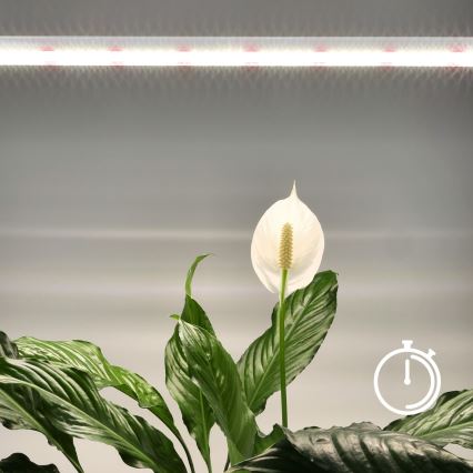 Luminária LED para cultivo de plantas GROWLY LED/15W/230V
