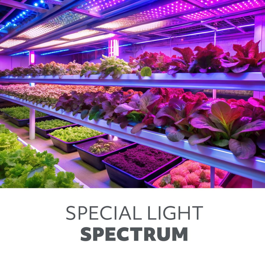 Luminária LED para cultivo de plantas GROWLY LED/15W/230V