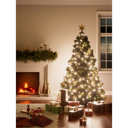 Nanoleaf - LED RGBW Exterior Corrente de Natal ESSENTIALS 250xLED 2x10m 2700-6500K Wi-Fi IP44