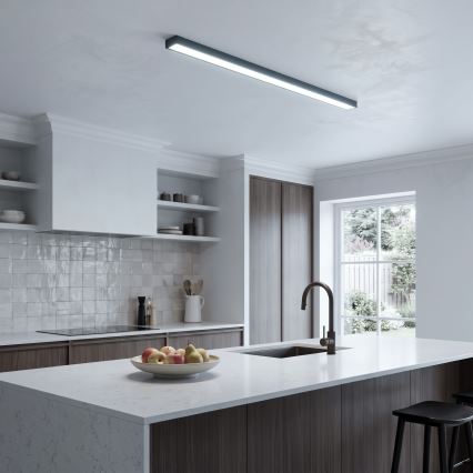 LED Sobrepor/lustre em cabo LED/44W/230V 6000K 120 cm preto