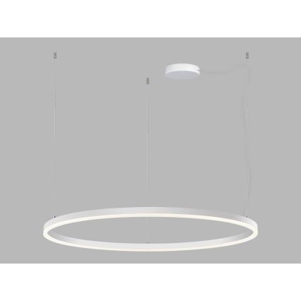 LED2 - Candeeiro suspenso LED com regulação CIRCLE LED/80W/230V 3000K/4000K diâmetro 100 cm branco