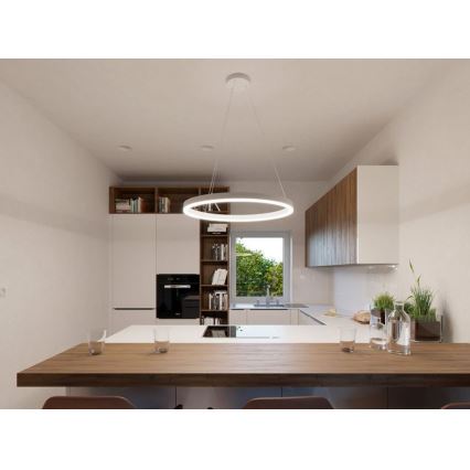 LED2 - Candelabro suspenso LED CIRCLE LED/42W/230V