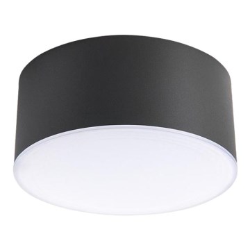 LED2 - Iluminação de teto LED BUTTON LED/17W/230V antracite