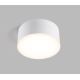 LED2 - Iluminação de teto LED BUTTON LED/17W/230V branca