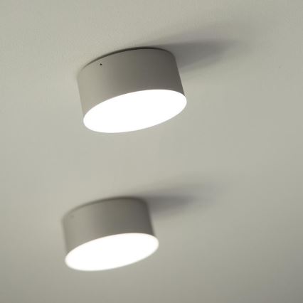 LED2 - Iluminação de teto LED BUTTON LED/17W/230V prateada