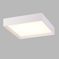 LED2 - Iluminação de teto LED MILO LED/30W/230V branca 3000/4000K